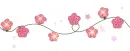cute flower divider