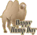 Happy Hump Day
