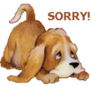 Little dog with Sorry message
