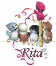 Rita~baby birds