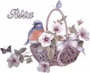 Rita