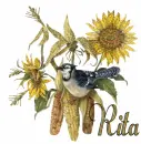 Rita