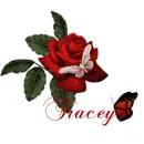 Rose with name