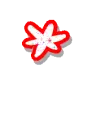 asterisk glitter