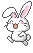 bunny