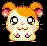 hamham