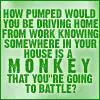monkey