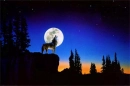 HowlingWolf