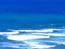 Ocean