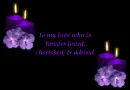 to my love