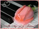 Hello My GG Friends