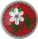 Paperweight