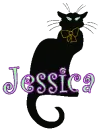 Black Cat Jessica