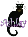 Black Cat Ashley