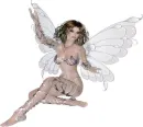 DOLL