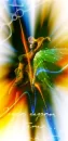 fairy