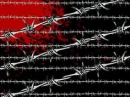 barbedwire