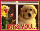 I Miss You...