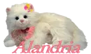 Alandria's white cat