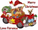 Bear in car with Florence name