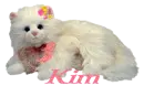 Kim's white cat