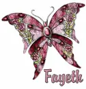 Fayeth