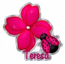 Teresa