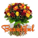 beautiful
