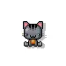 mini kitty