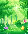 kawaii place