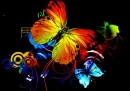 Butterfly Music