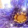 purple flower