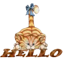 cat