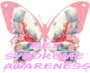glitter pink butterfly -ret syndrome awareness
