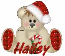 Xmas bear with Hailey name