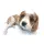 cute dog