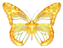 Golden Butterfly