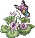 Nature's Butterfly