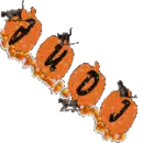 smaller pumpkins for Judi