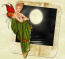 moonlight