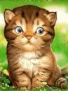 so cute