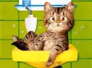 bath time