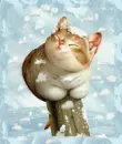 snowy day