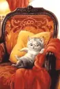 relax
