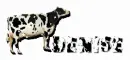 Cow: Denise
