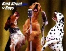 Bark Street boys