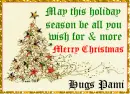 May this holiday season be all you wish for & more- Pami - xmas