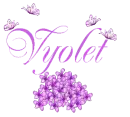 Vyolet