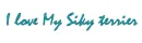 Silkyterrier