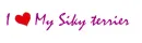 silkyterrierheart
